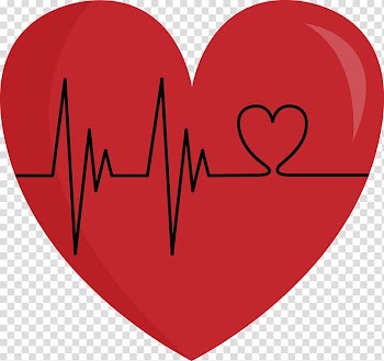 Congenital heart defect Hypoplastic left heart syndrome Pulse , heart beat transparent background PNG clipart