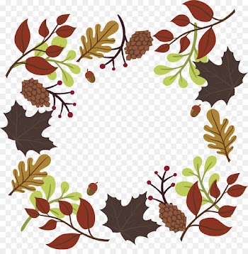 Conifer Cone, Autumn, Leaf, Plant PNG