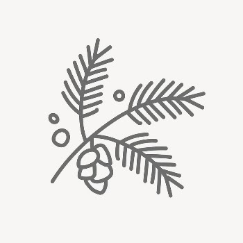 Conifer cone collage element vector | Free Vector - rawpixel