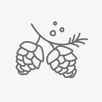 Conifer cone collage element vector | Free Vector - rawpixel