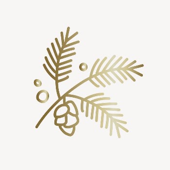 Conifer cone collage element vector | Free Vector - rawpixel