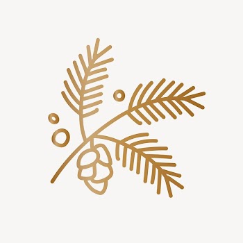 Conifer cone collage element vector | Free Vector - rawpixel