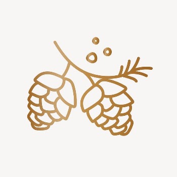 Conifer cone collage element vector | Free Vector - rawpixel