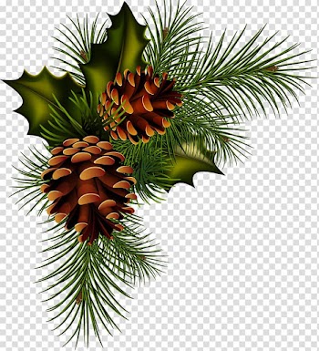 Conifer cone Pine Christmas , artichokes transparent background PNG clipart