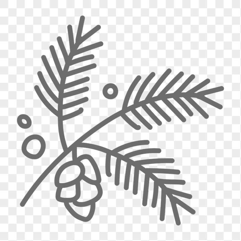 Conifer cone png doodle sticker, | Free PNG - rawpixel