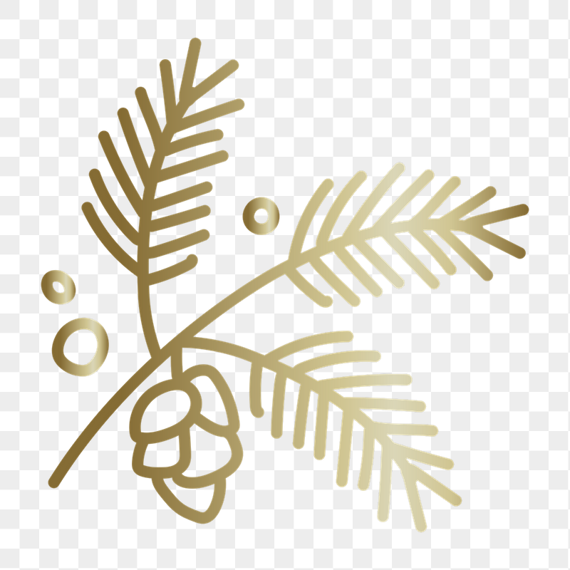 Conifer cone png doodle sticker, | Free PNG - rawpixel