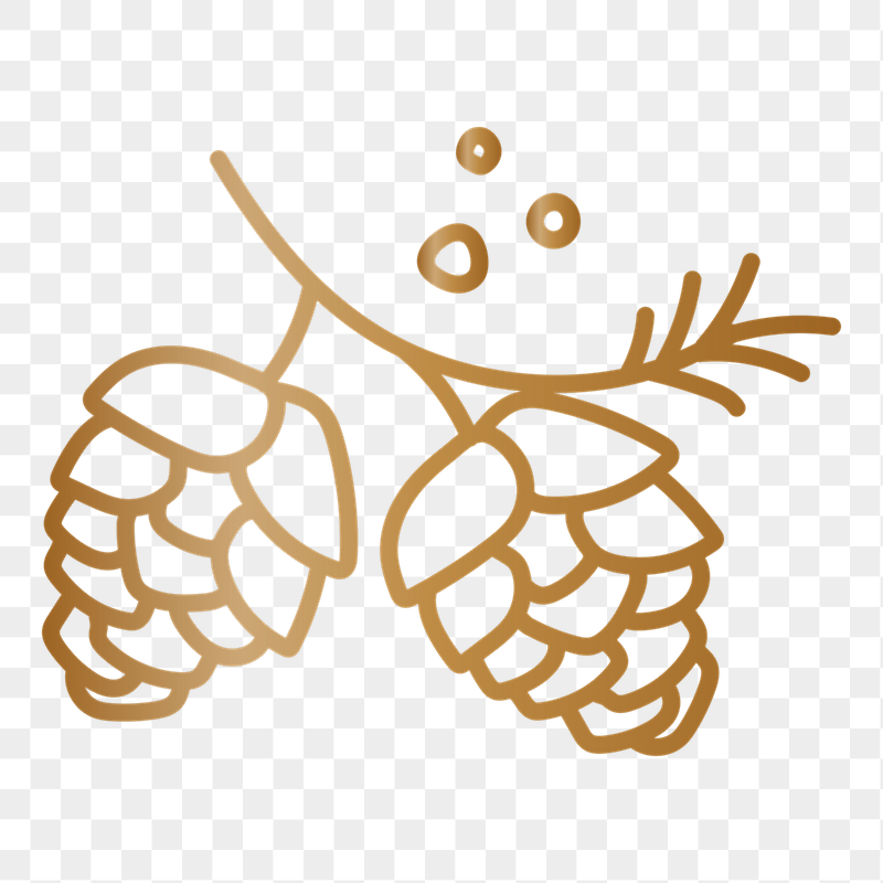 Conifer cone png doodle sticker, | Free PNG - rawpixel