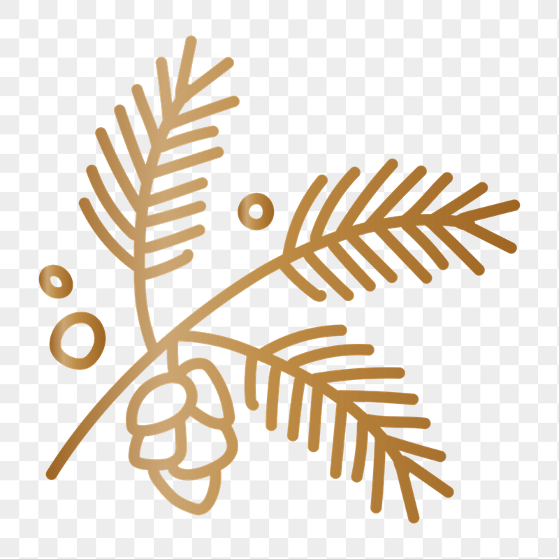 Conifer cone png doodle sticker, | Free PNG - rawpixel