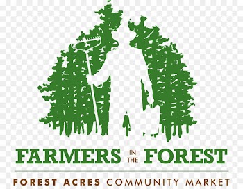 Conifers Logo Brand Line Font - line 