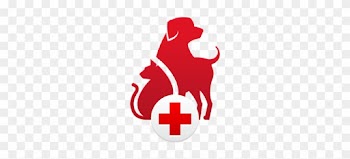 Connect With Us - Red Medical Cross