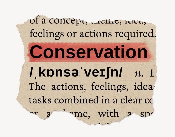 Conservation ripped dictionary, editable word | Free PSD - rawpixel