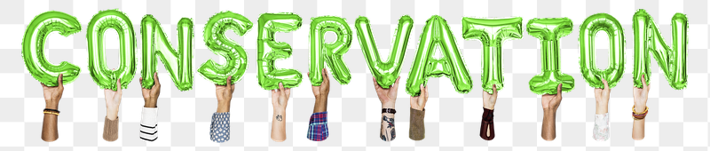 Conservation word png, hands holding | Free PNG - rawpixel