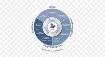 Consultant Login - People Process Technology Strategy