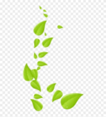 Consumer Recyclable) Materials And Each Plunger Is - Consumer Recyclable) Materials And Each Plunger Is