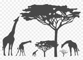 Contact Details - Giraffe Silhouette With Tree