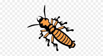 Contact Sunshine Pest Management For The Best Pest - Contact Sunshine Pest Management For The Best Pest