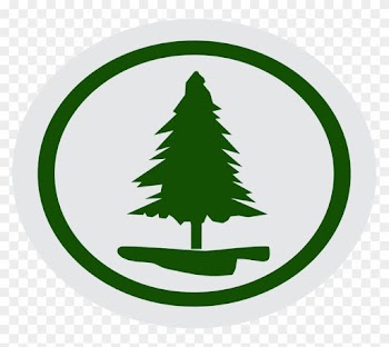 Contar 5 Historias Bíblicas De Árvores Que Tiveram - Christmas Tree