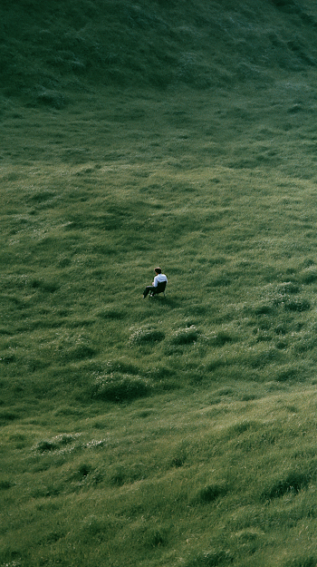 Contemplative Solitude in a Green Meadow