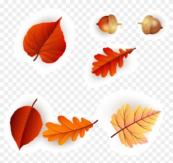 Continental Colorful Fresh Maple Leaf Pattern Vector - Continental Colorful Fresh Maple Leaf Pattern Vector