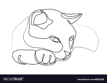 contour cat muzzle kitty