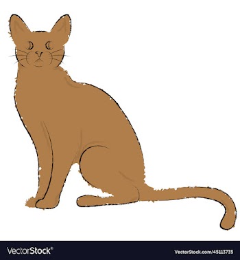 contour drawn cat in minimalist style