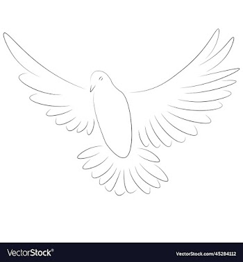 contour drawn pigeon bird in minimalist style