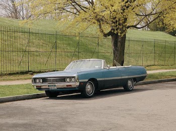 convertible coupe parts beside tree near fence