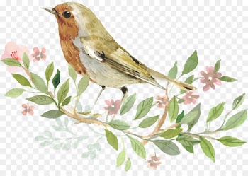 Convite Wedding invitation Bird - Water Color Flowers 