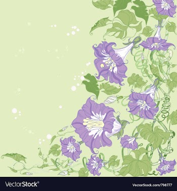  					Convolvulus card vector image														