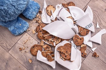 Cookie Monster Broken Jar Free Photo 