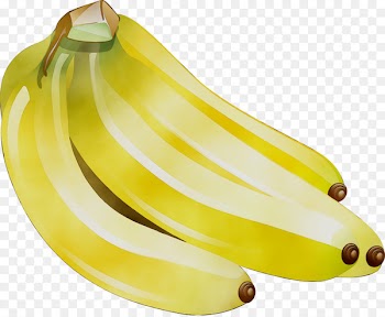 Cooking banana Saba banana Plantain Vegetable -  