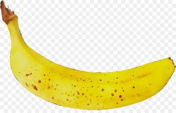 Cooking banana Yellow -  
