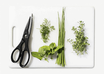 Cooking herbs collage element  | Free PSD - rawpixel