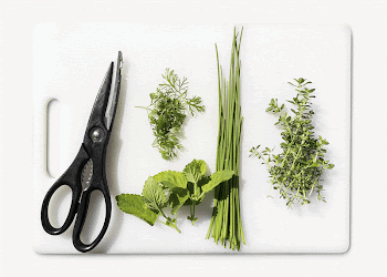 Cooking herbs collage element, isolated | Free Photo - rawpixel