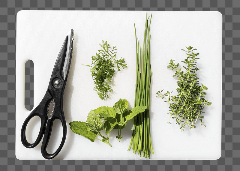 Cooking herbs png sticker, transparent | Free PNG - rawpixel