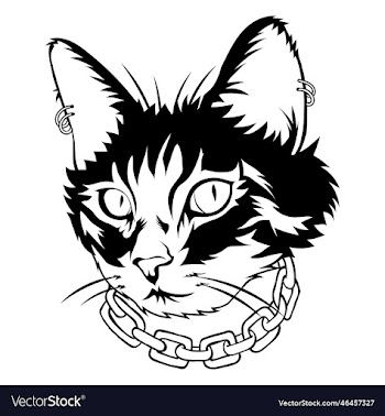 cool black cat