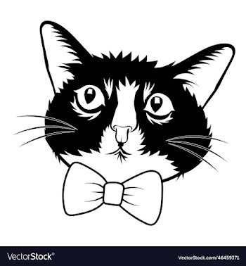 cool cat with bow
