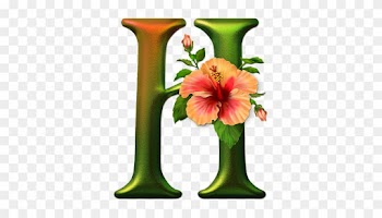 Cool Letter Fonts, 3 Letter, Alphabet Soup, Alphabet - Cool Letter Fonts, 3 Letter, Alphabet Soup, Alphabet