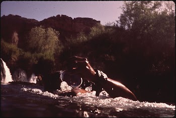 Cooling Off At the Havasu | Free Photo - rawpixel