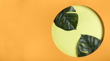 Copy-space paper circle with leaves Free Photo