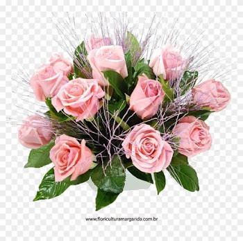 Cora 231 227 O Cor De Rosa - Garden Roses