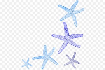 Coral Common starfish Clip art - decorative paintings 