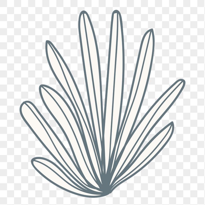 Coral png sticker, line art | Free PNG - rawpixel