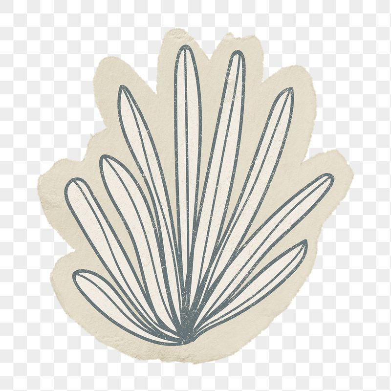 Coral png sticker, line art | Free PNG - rawpixel