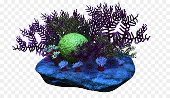 Coral reef Clip art - coral 