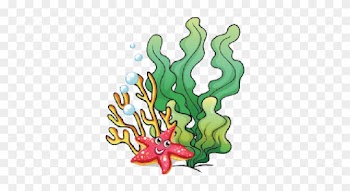 Coral Reef Clipart Transparent - Great Barrier Reef Word Search