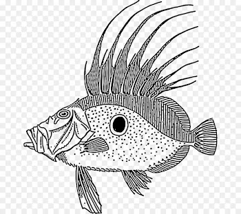 Coral reef fish Blue Tang Scale Clip art - fish 