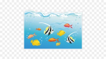 Coral reef fish Deep sea Marine biology Underwater - sea 