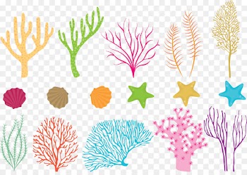 Coral reef fish Sea - Vector colored coral 
