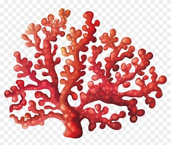 Coral Reef Royalty-free Clip Art - Coral Reef Clipart